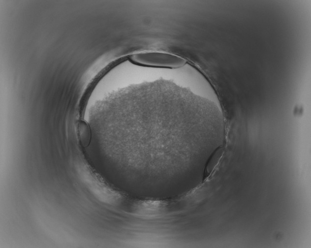 X0000112910152200910051052