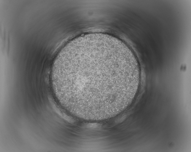 X0000112910153200910051052