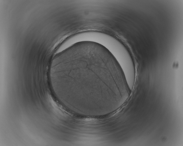 X0000112910154200910051052