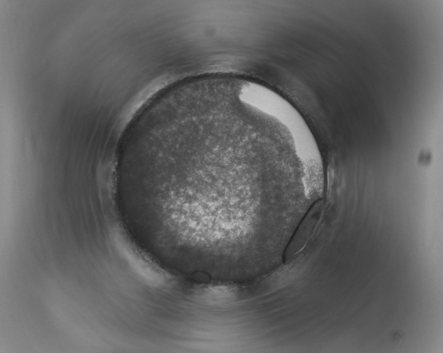 X0000112910156200910051052