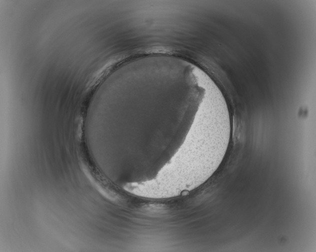 X0000112910157200910051052