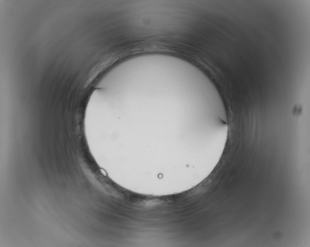 X0000112910158200910051052