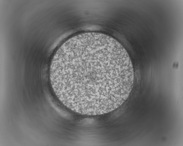 X0000112910159200910051052