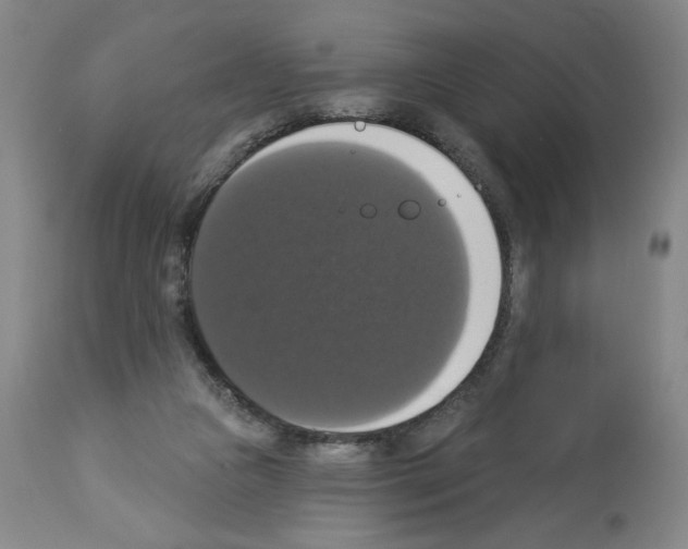 X0000112910161200910051052