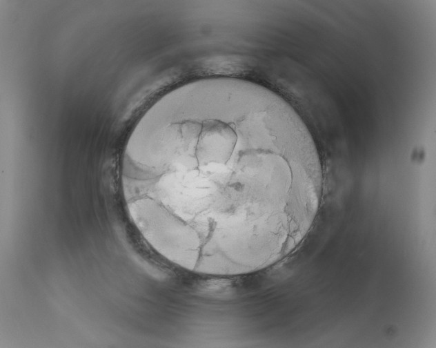 X0000112910162200910051052
