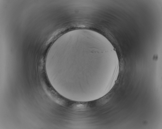 X0000112910163200910051052