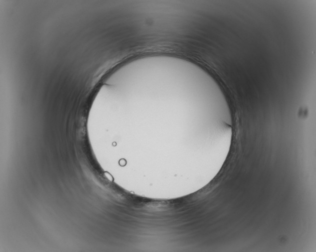 X0000112910164200910051052