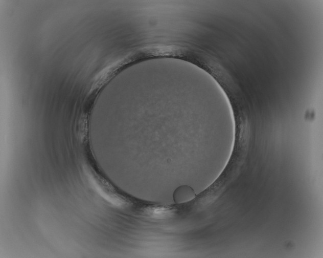 X0000112910165200910051052