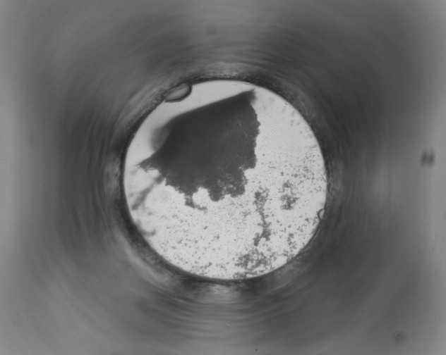 X0000112910166200910051052