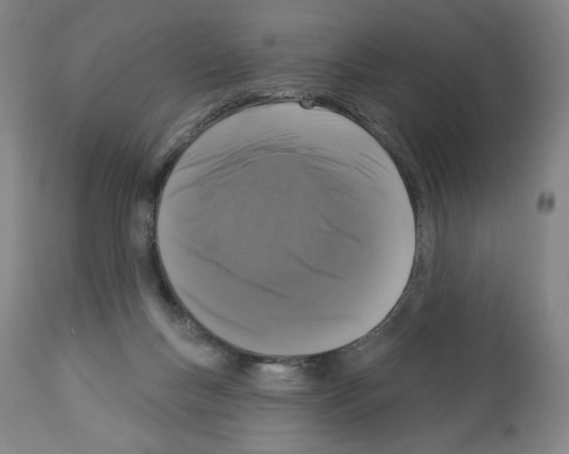 X0000112910167200910051052