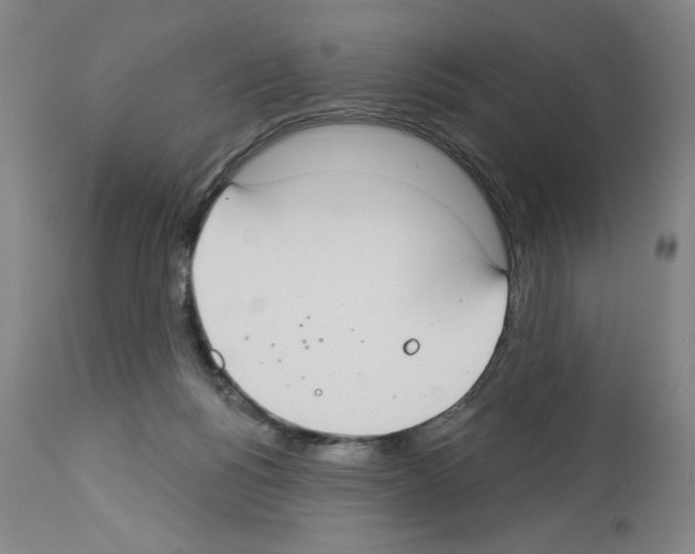 X0000112910168200910051052
