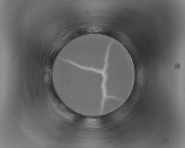 X0000112910169200910051052