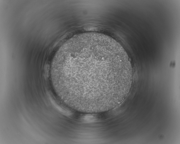 X0000112910171200910051052