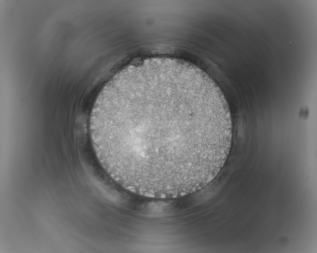 X0000112910172200910051052