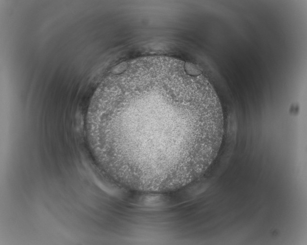 X0000112910173200910051052