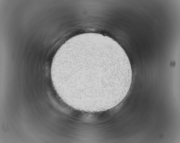 X0000112910174200910051052