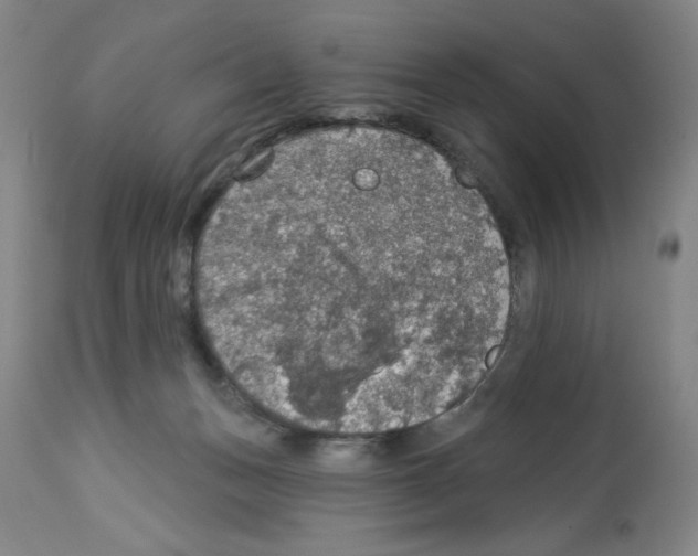 X0000112910175200910051052