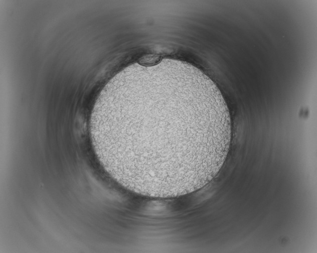 X0000112910176200910051052