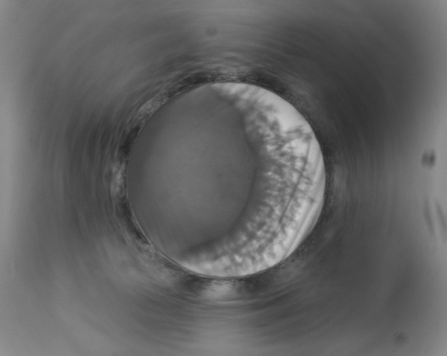 X0000112910177200910051052