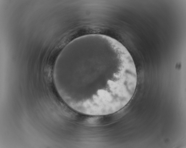 X0000112910178200910051052