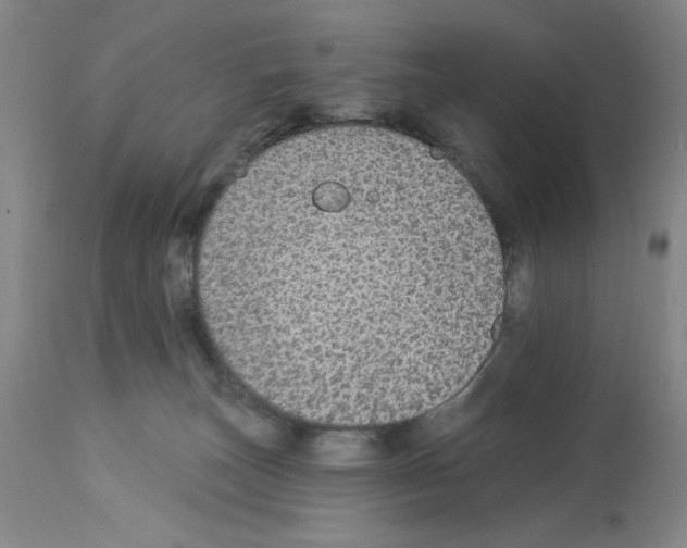 X0000112910179200910051052