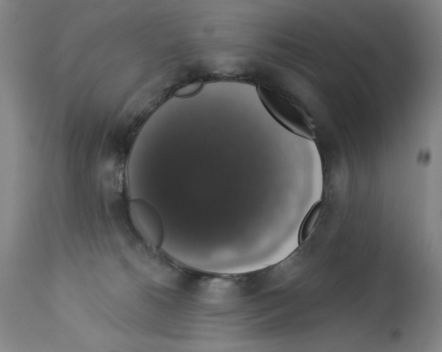 X0000112910180200910051052