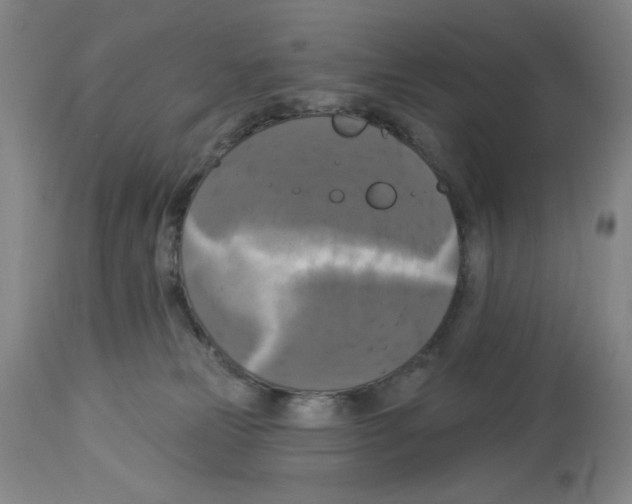 X0000112910181200910051052
