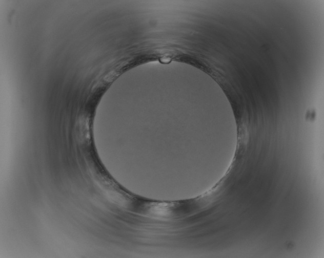 X0000112910182200910051052
