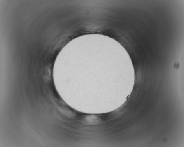 X0000112910183200910051052