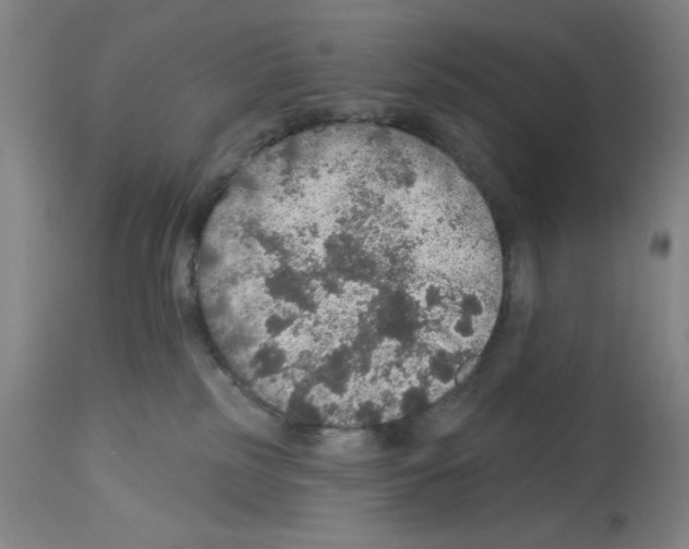 X0000112910185200910051052