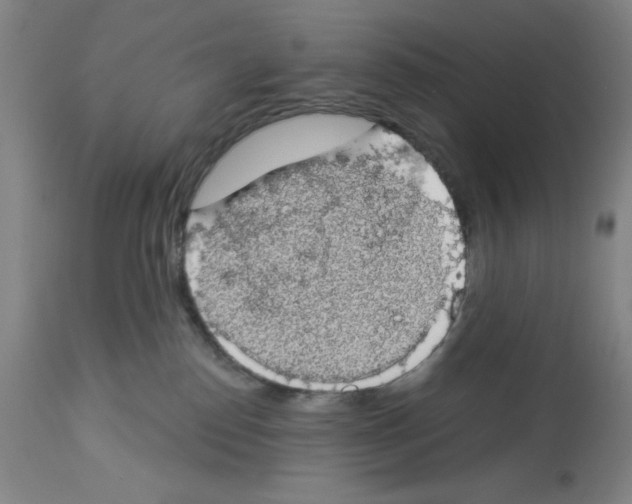 X0000112910186200910051052