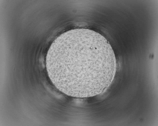 X0000112910187200910051052