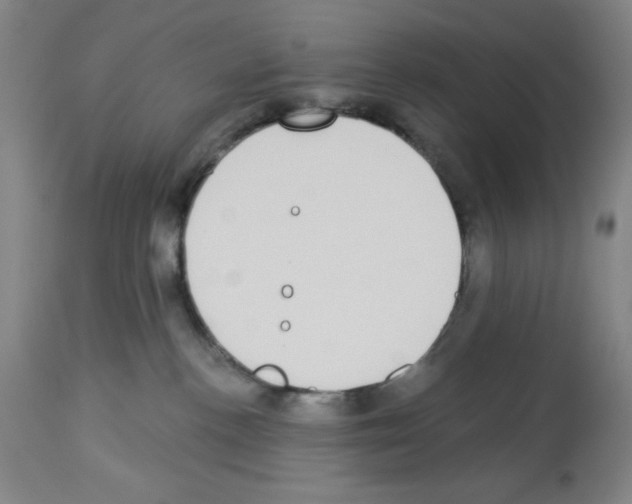 X0000112910188200910051052