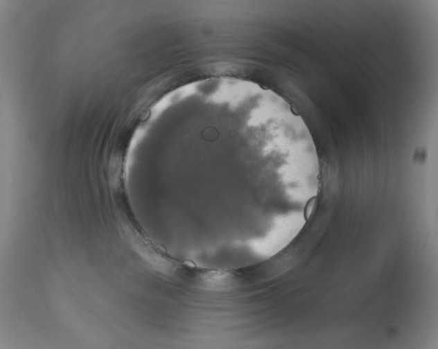 X0000112910189200910051052