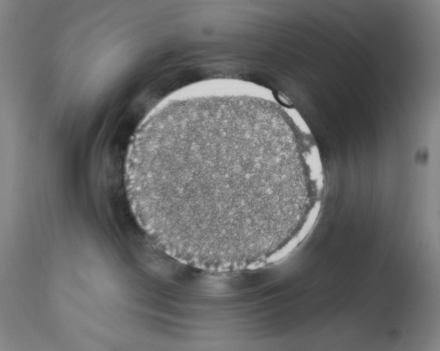 X0000112910190200910051052