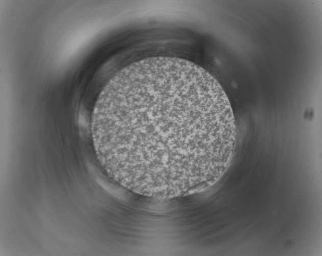 X0000112910191200910051052