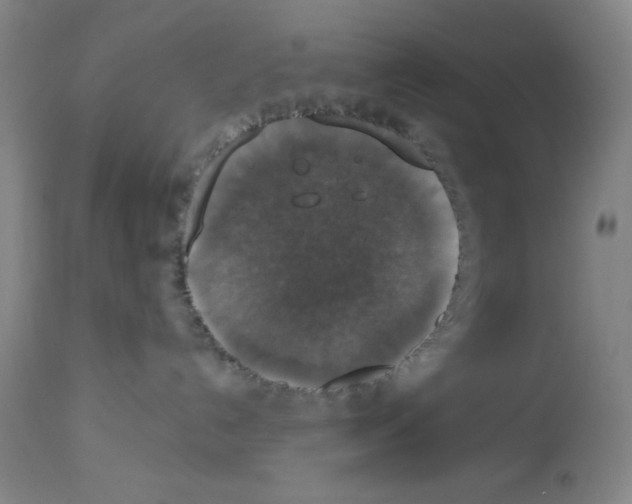 X0000112910192200910051052