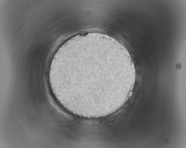 X0000112910193200910051052
