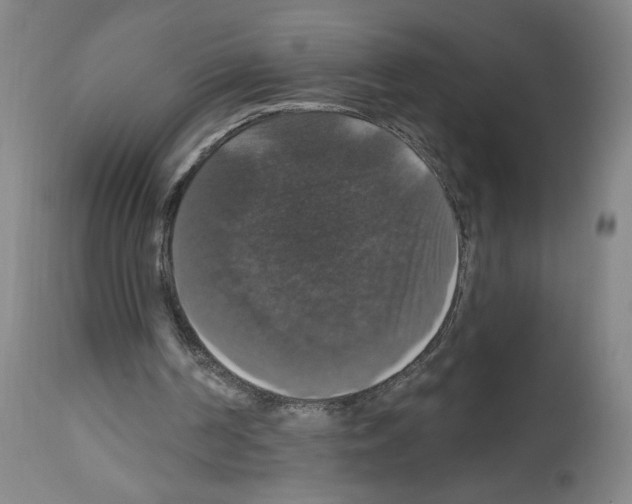 X0000112910194200910051052