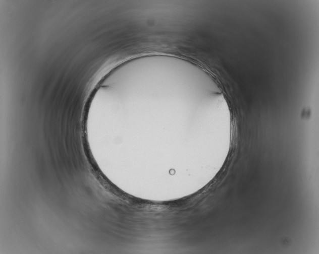 X0000112910195200910051052