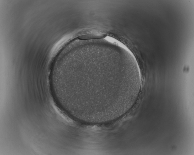 X0000112910197200910051051
