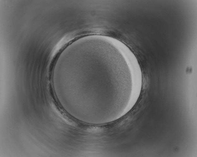 X0000112910198200910051051