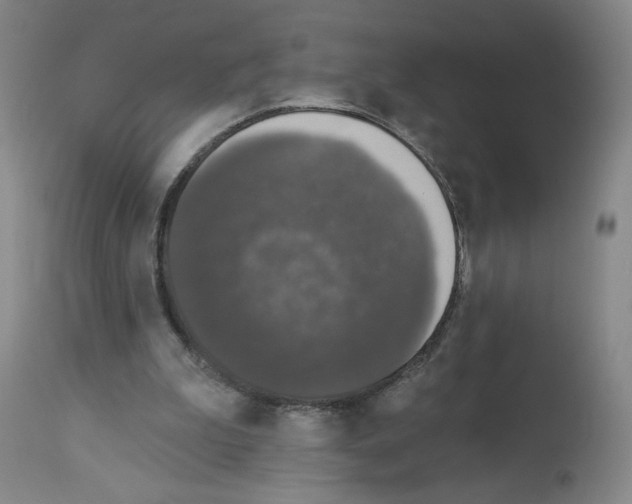X0000112910199200910051051