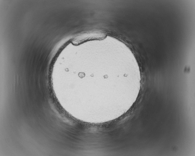 X0000112910200200910051051