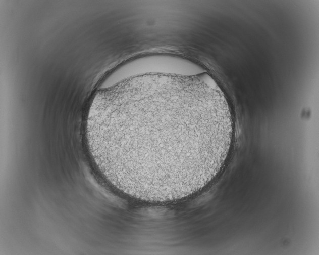 X0000112910201200910051051