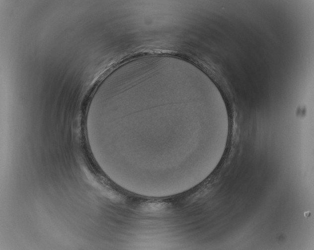 X0000112910202200910051051