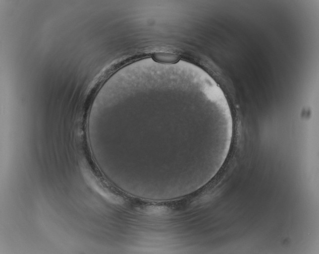 X0000112910203200910051051