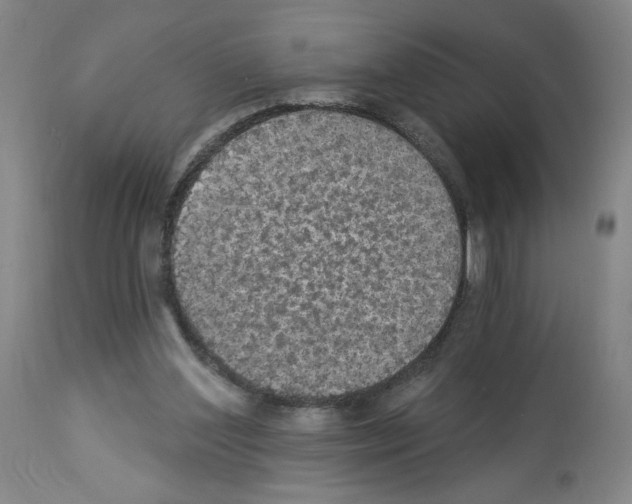 X0000112910204200910051051
