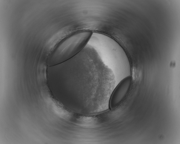 X0000112910205200910051051