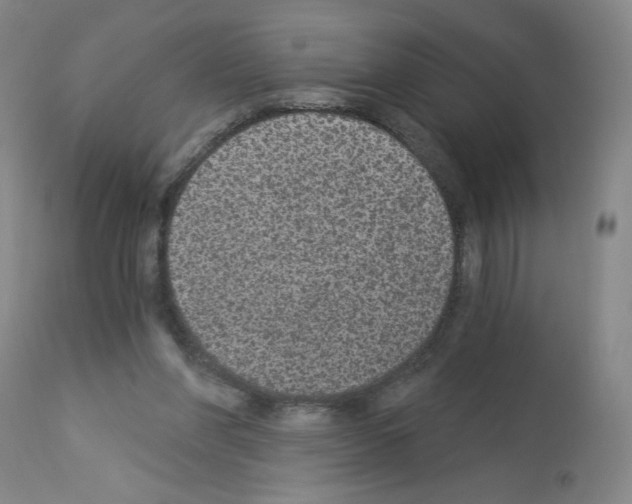 X0000112910206200910051051